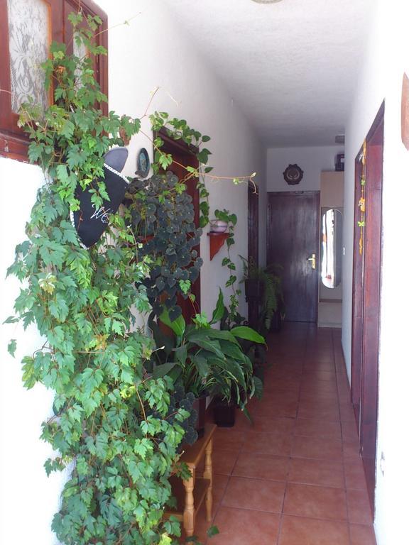 Apartment Leona Zengg Kültér fotó