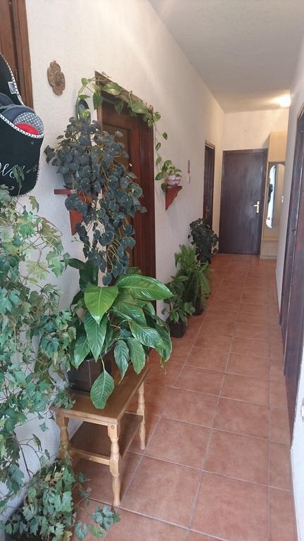 Apartment Leona Zengg Kültér fotó